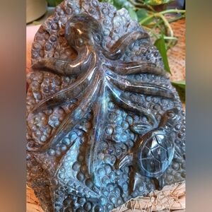 Labradorite Stone Carved Octopus Turtle Starfish Iridescent Flashes 2+lbs